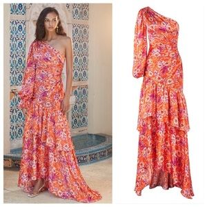 NWT Silk Israella Dress Size 6